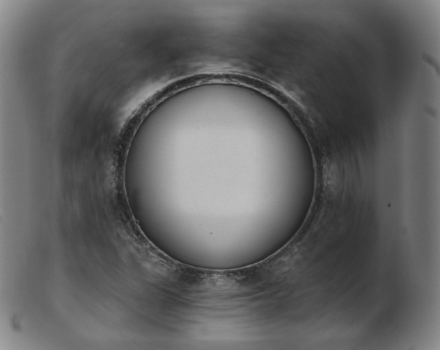 X0000103911311200809191253