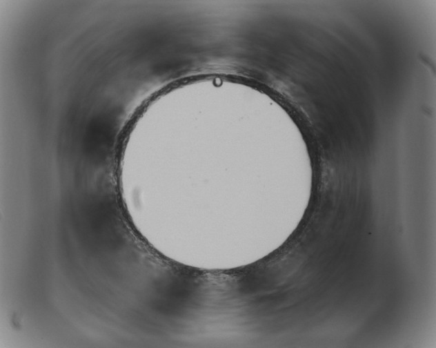 X0000103911312200809191253