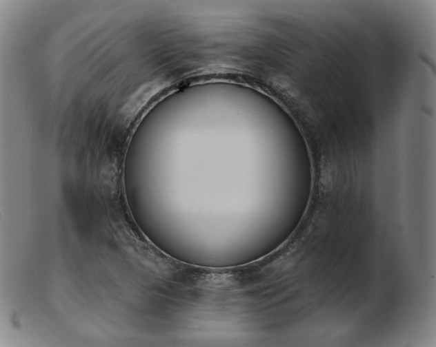 X0000103911313200809191253