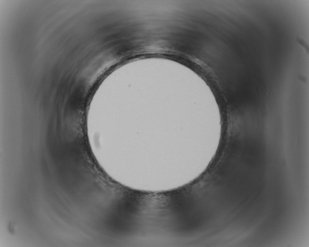 X0000103911314200809191253