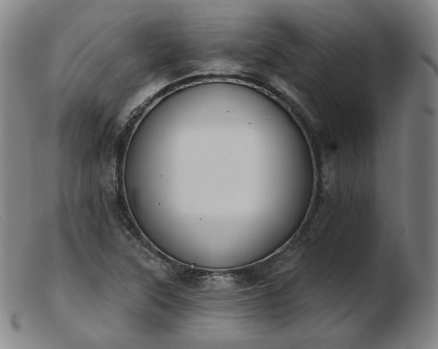 X0000103911315200809191253