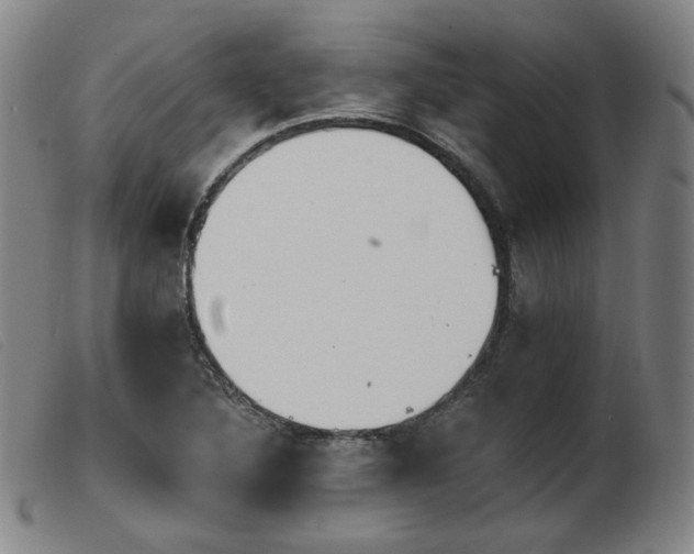 X0000103911316200809191253
