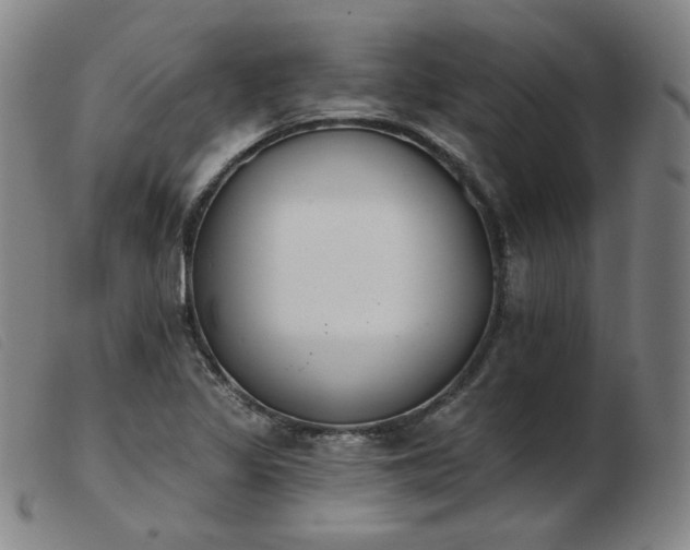 X0000103911317200809191253