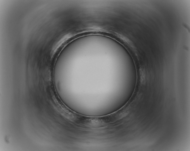 X0000103911318200809191253