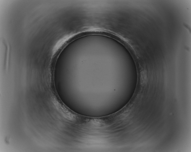 X0000103911319200809191253