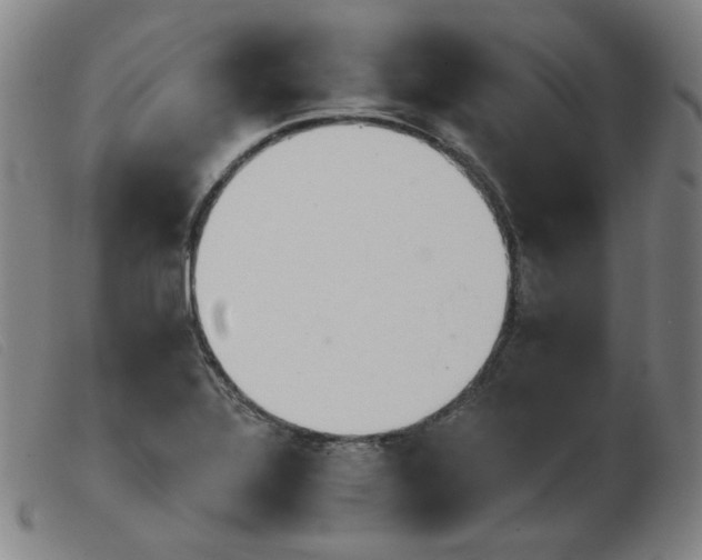 X0000103911320200809191253