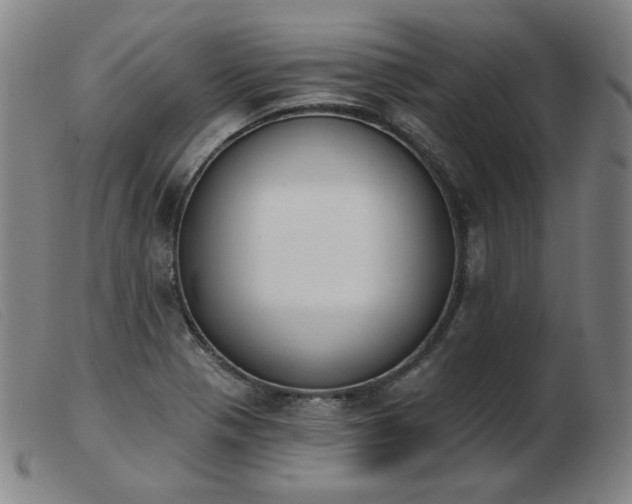 X0000103911321200809191253