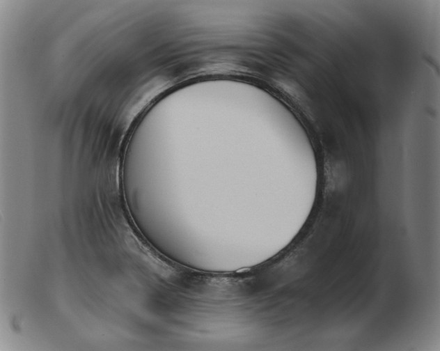 X0000103911322200809191253