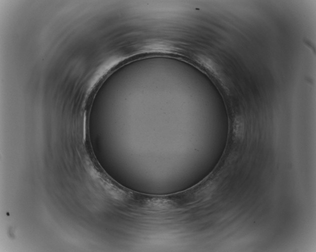 X0000103911323200809191253