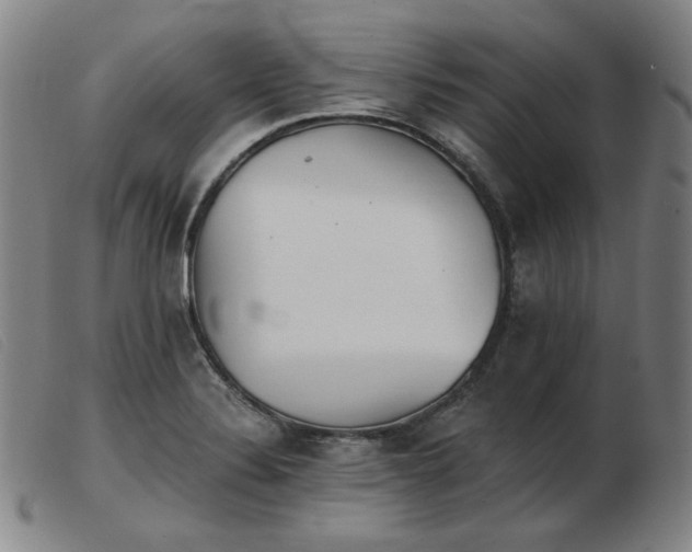 X0000103911324200809191253