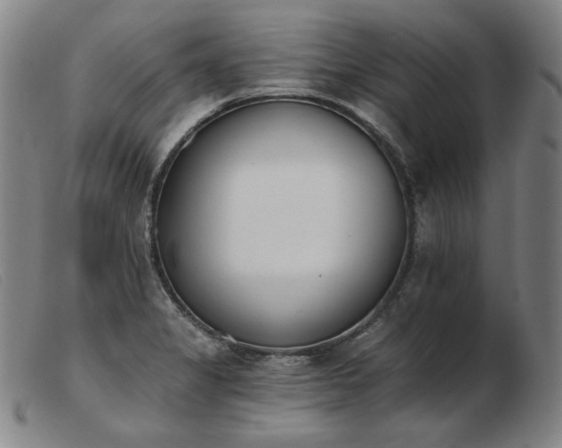X0000103911325200809191253