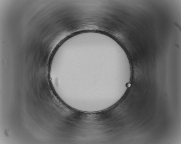 X0000103911326200809191253