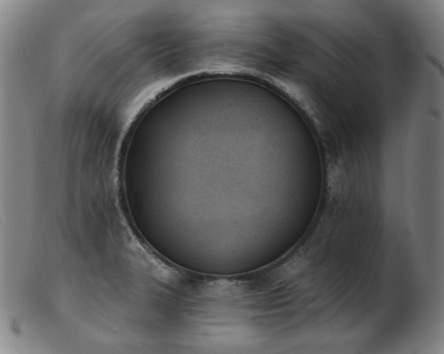 X0000103911327200809191253