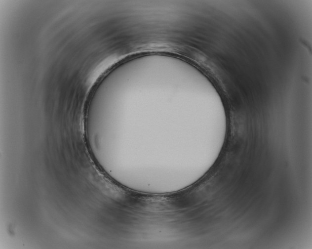 X0000103911328200809191253