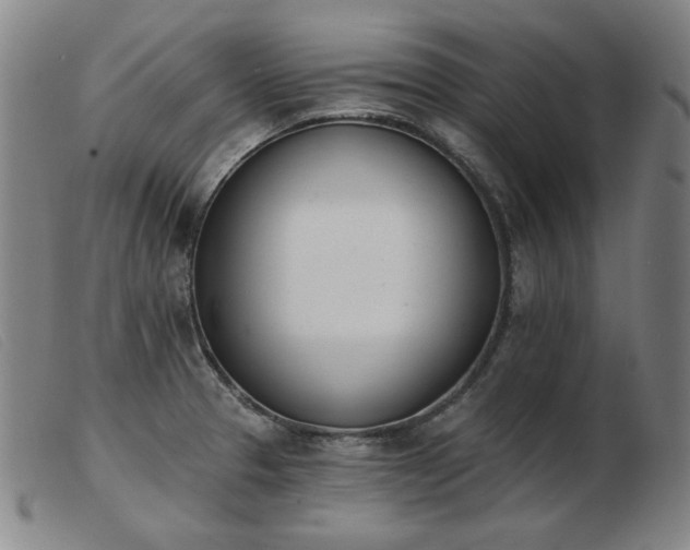 X0000103911329200809191253