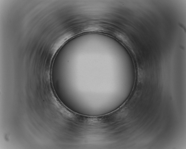 X0000103911330200809191253