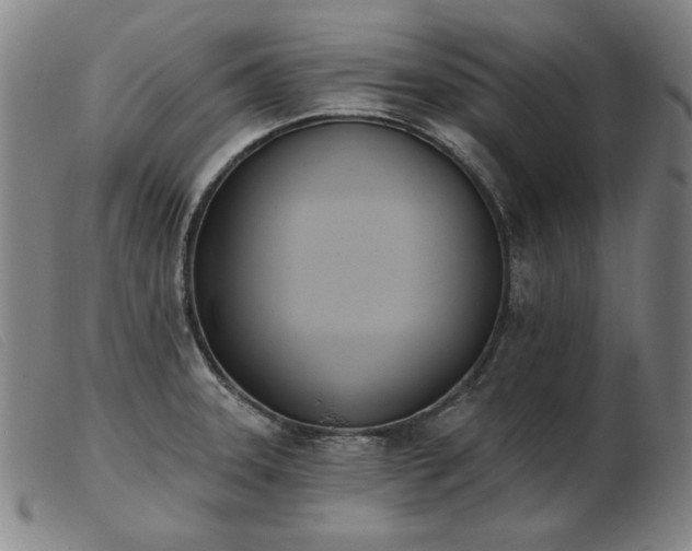 X0000103911331200809191253