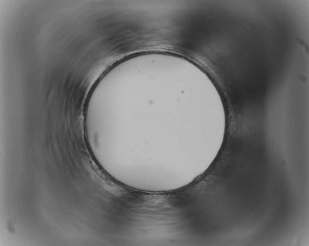 X0000103911332200809191253