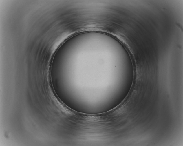 X0000103911333200809191253