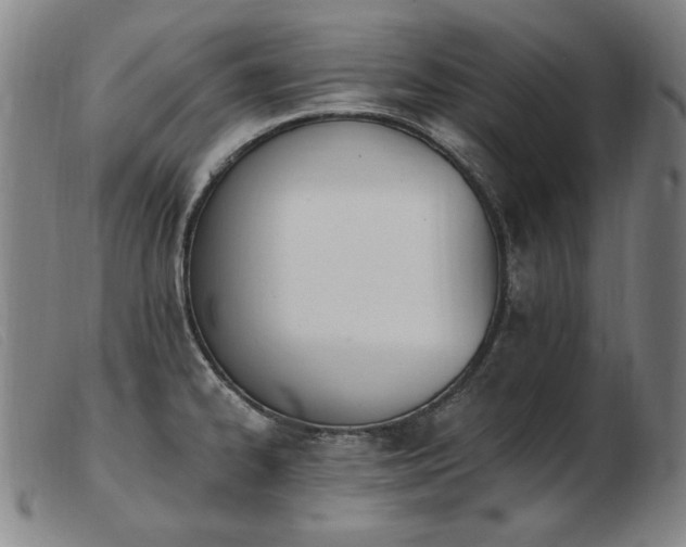 X0000103911334200809191253