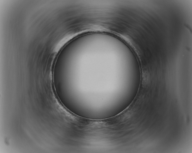 X0000103911335200809191253