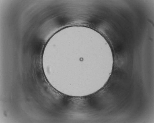 X0000103911336200809191253