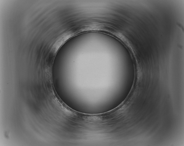 X0000103911337200809191253