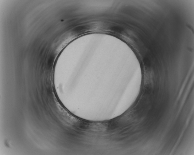 X0000103911338200809191253