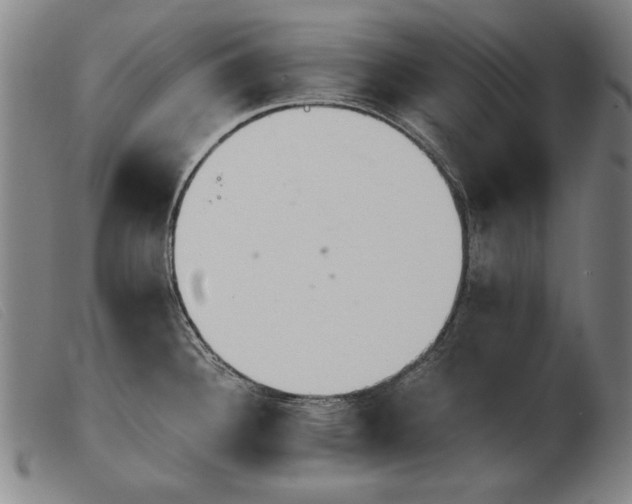 X0000103911340200809191253