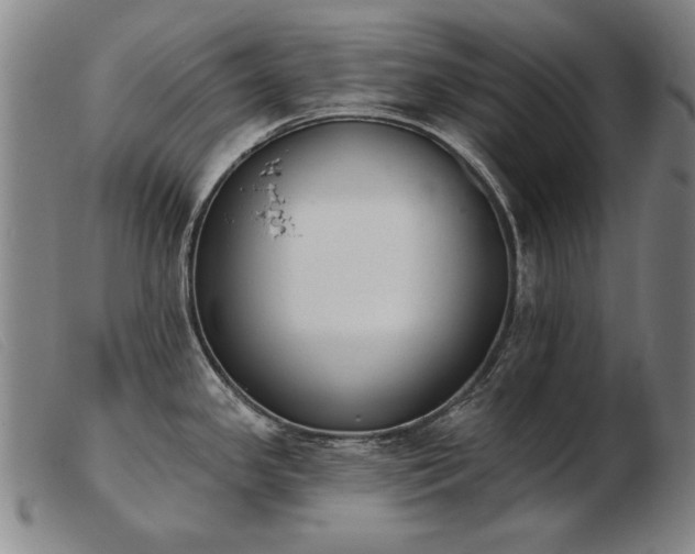 X0000103911341200809191253
