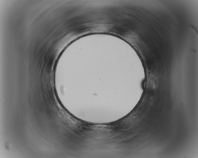 X0000103911342200809191253