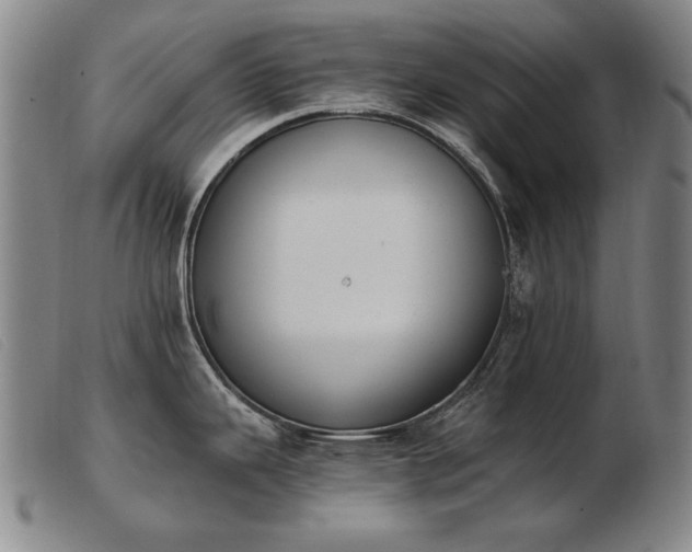X0000103911343200809191253