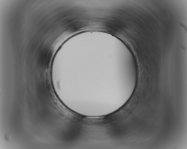 X0000103911344200809191253