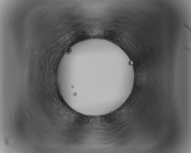 X0000103911345200809191252
