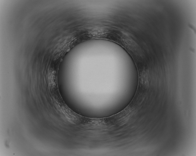 X0000103911346200809191252