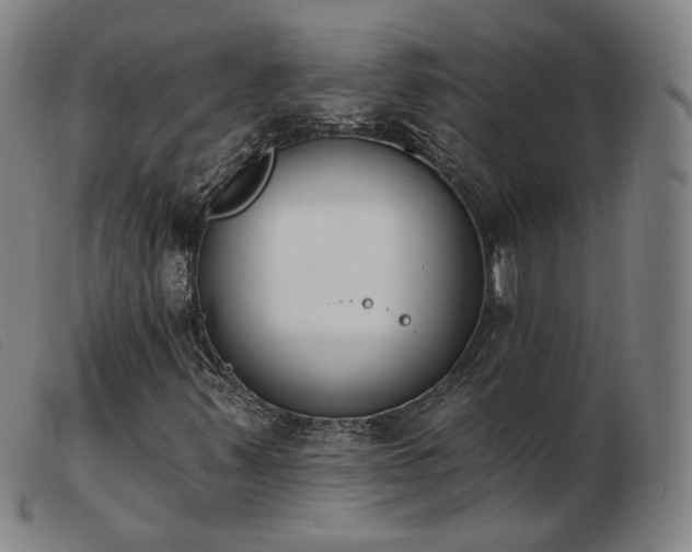 X0000103911347200809191252