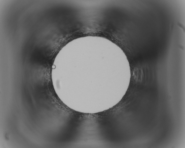 X0000103911348200809191252