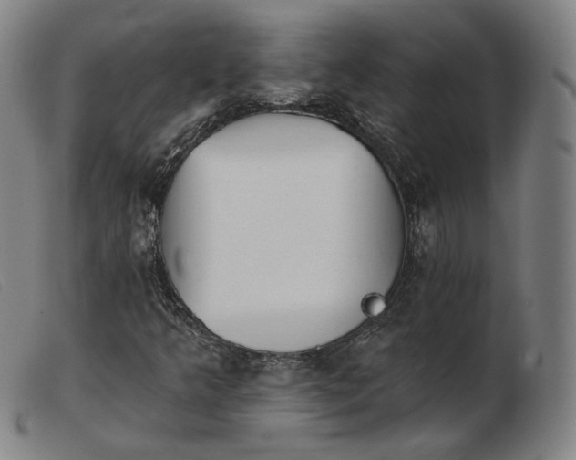X0000103911349200809191252