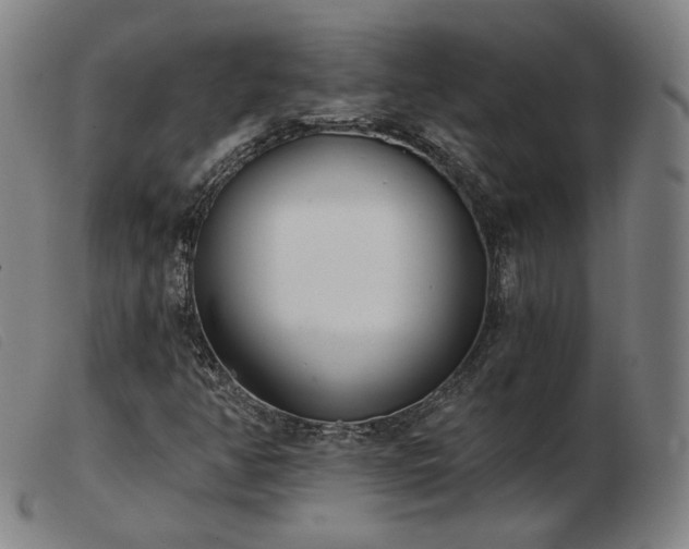X0000103911350200809191252