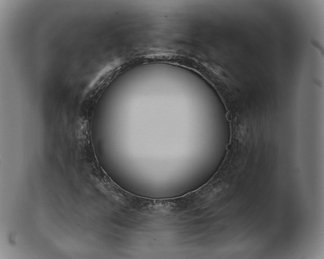 X0000103911351200809191252