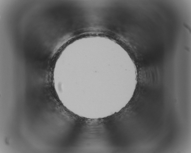 X0000103911352200809191252