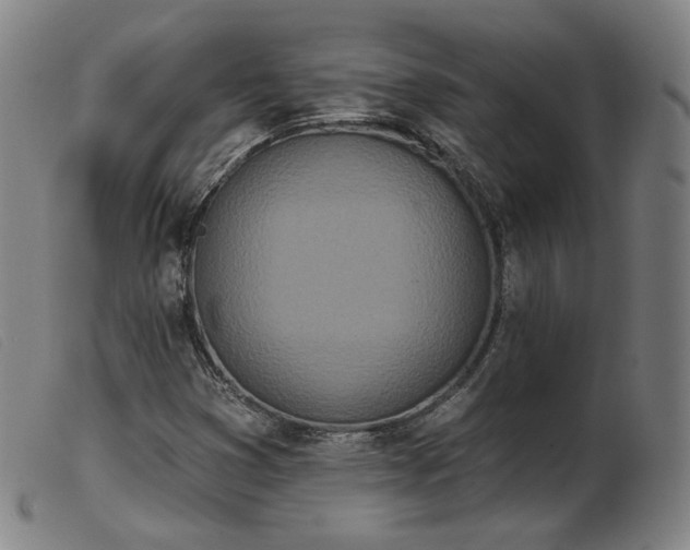 X0000103911353200809191252