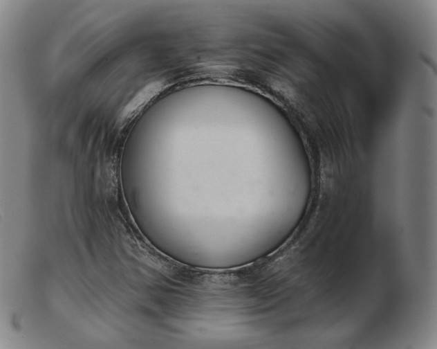 X0000103911354200809191252