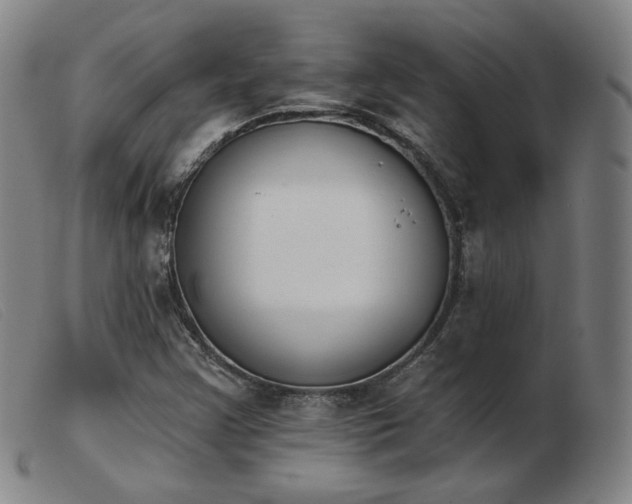 X0000103911355200809191252