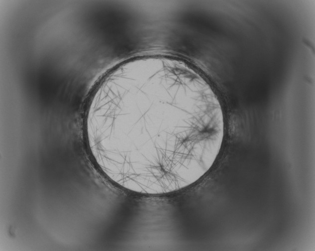 X0000103911356200809191252
