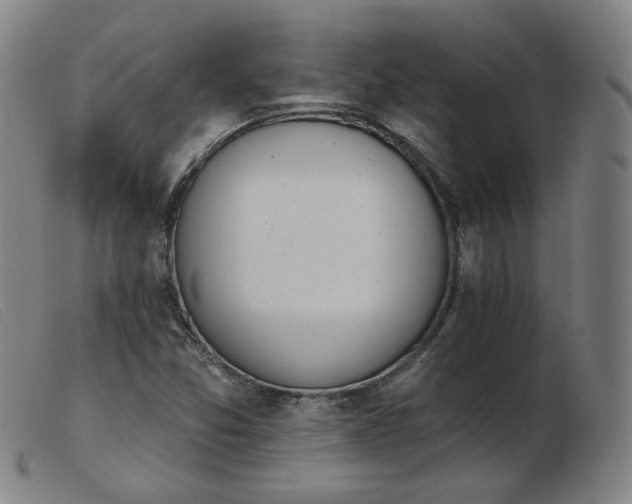X0000103911357200809191252