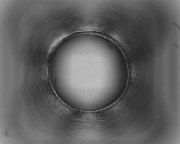 X0000103911358200809191252