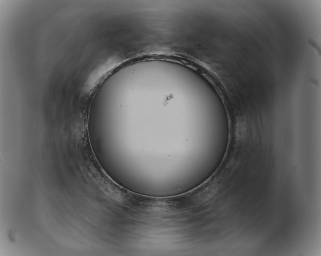 X0000103911359200809191252