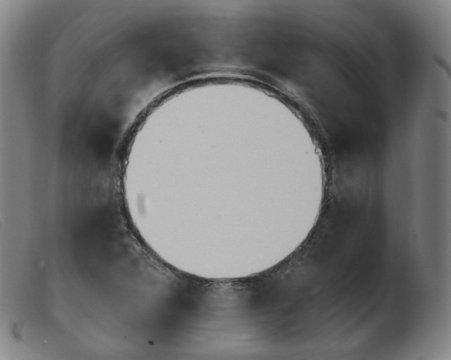 X0000103911360200809191252