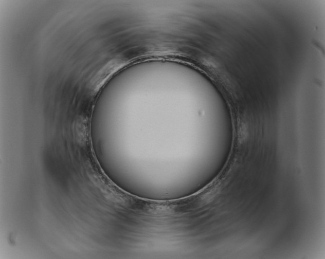 X0000103911361200809191252